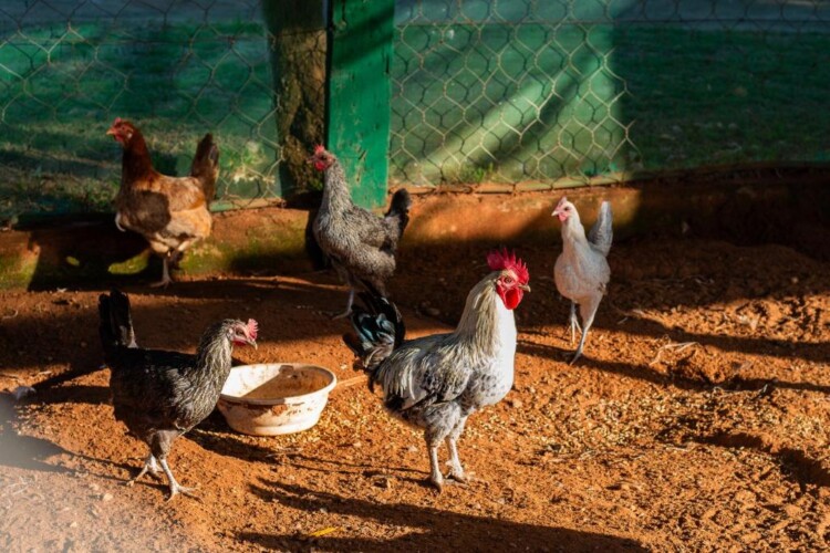 753843507 - Location Appartement Meublé Rabat Maroc - Masterhost