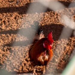 753843804 - Location Appartement Meublé Rabat Maroc - Masterhost