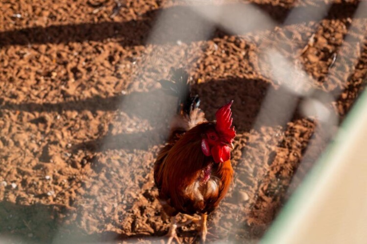 753843804 - Location Appartement Meublé Rabat Maroc - Masterhost