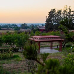 753844177 - Location Appartement Meublé Rabat Maroc - Masterhost