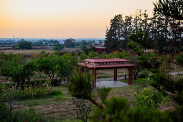 753844177 - Location Appartement Meublé Rabat Maroc - Masterhost