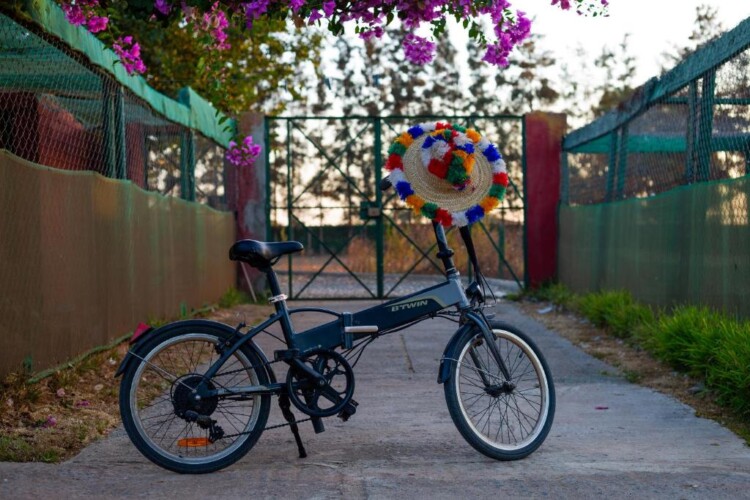 753844196 - Location Appartement Meublé Rabat Maroc - Masterhost