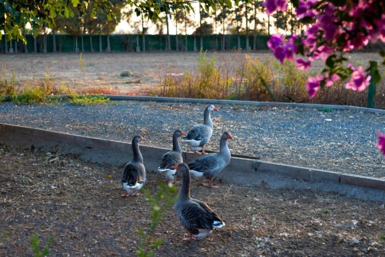 753844202 - Location Appartement Meublé Rabat Maroc - Masterhost