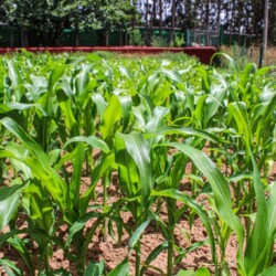 753844603 - Location Appartement Meublé Rabat Maroc - Masterhost