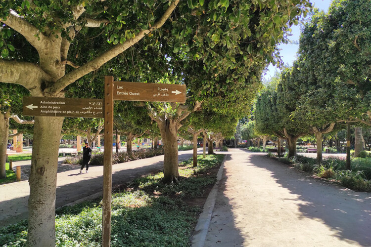 01-1024×683-1 - Location Appartement Meublé Rabat Maroc - Masterhost