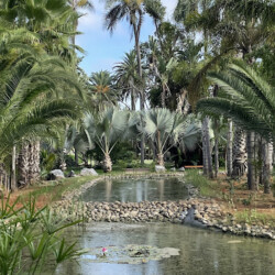 2 - Location Appartement Meublé Rabat Maroc - Masterhost