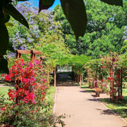 3 - Location Appartement Meublé Rabat Maroc - Masterhost