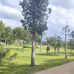 4 - Location Appartement Meublé Rabat Maroc - Masterhost