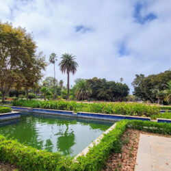 4 - Location Appartement Meublé Rabat Maroc - Masterhost