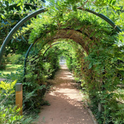 6 - Location Appartement Meublé Rabat Maroc - Masterhost