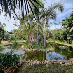 7 - Location Appartement Meublé Rabat Maroc - Masterhost