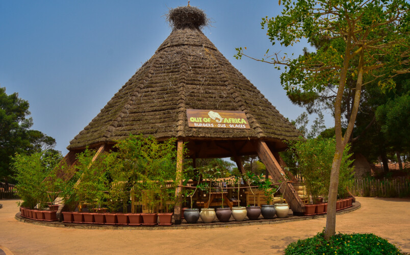 DSC_3891 - Location Appartement Meublé Rabat Maroc - Masterhost