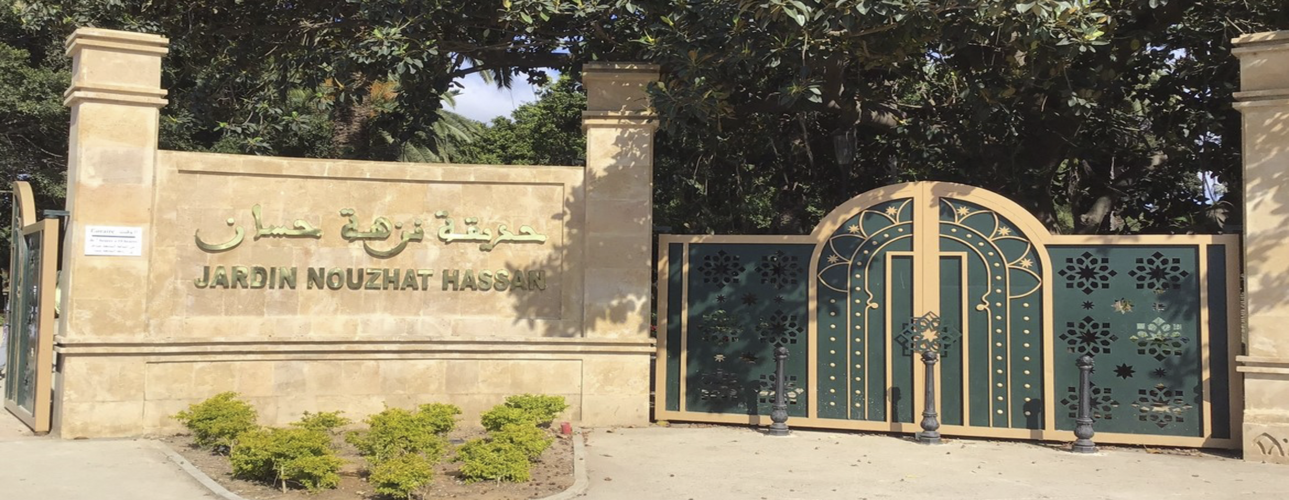 RVV-4 - Location Appartement Meublé Rabat Maroc - Masterhost