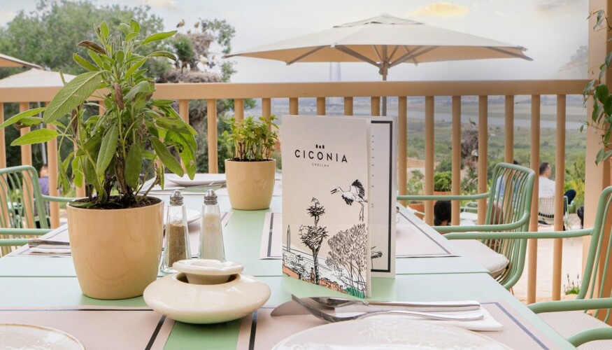 ciconia-by-chellah.jpg6 - Location Appartement Meublé Rabat Maroc - Masterhost