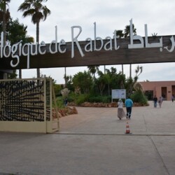 d2cca9dea76ddacd6d896f5c14037f0a - Location Appartement Meublé Rabat Maroc - Masterhost