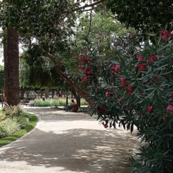 green-in-the-middle-of - Location Appartement Meublé Rabat Maroc - Masterhost