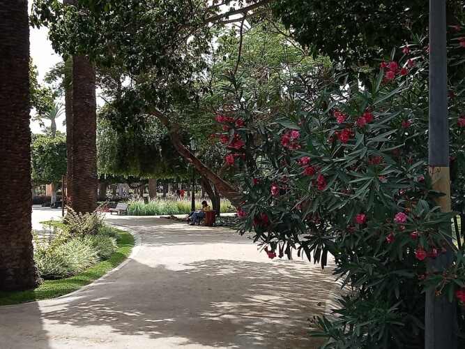 green-in-the-middle-of - Location Appartement Meublé Rabat Maroc - Masterhost