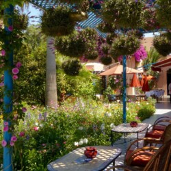 les-terrasses - Location Appartement Meublé Rabat Maroc - Masterhost