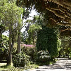 triangle-de-vue-arbresexotiques2-2017 - Location Appartement Meublé Rabat Maroc - Masterhost