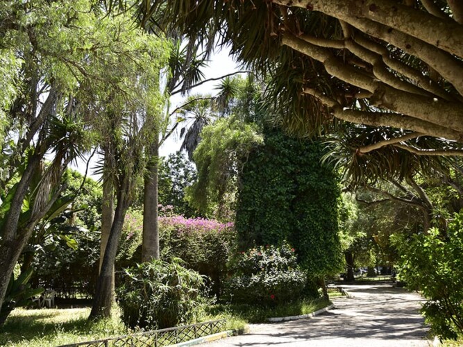 triangle-de-vue-arbresexotiques2-2017 - Location Appartement Meublé Rabat Maroc - Masterhost