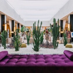 un-cadre-unique-entoure - Location Appartement Meublé Rabat Maroc - Masterhost