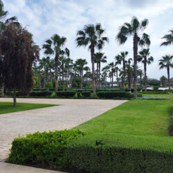 unnamed - Location Appartement Meublé Rabat Maroc - Masterhost